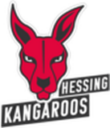 Wappen BG Hessing Leitershofen